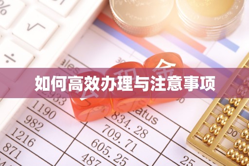 马龙如何高效办理与注意事项