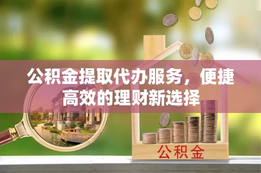 马龙公积金提取代办服务，便捷高效的理财新选择