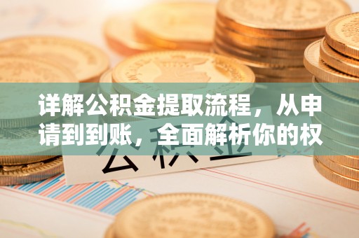 马龙详解公积金提取流程，从申请到到账，全面解析你的权益与操作步骤