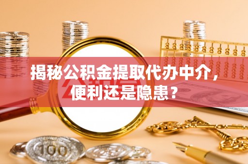马龙揭秘公积金提取代办中介，便利还是隐患？