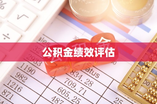 马龙公积金绩效评估