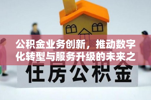 马龙公积金业务创新，推动数字化转型与服务升级的未来之路