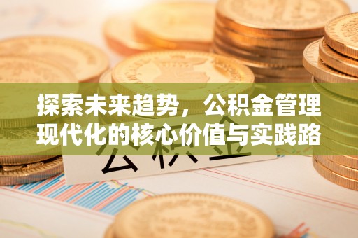 马龙探索未来趋势，公积金管理现代化的核心价值与实践路径