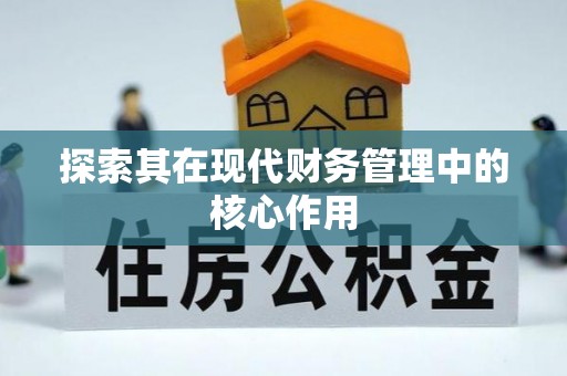 马龙探索其在现代财务管理中的核心作用