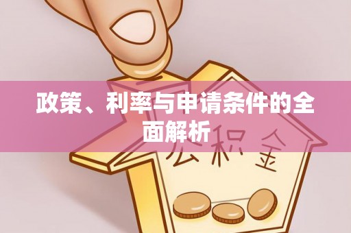 马龙政策、利率与申请条件的全面解析