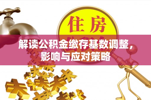马龙解读公积金缴存基数调整，影响与应对策略