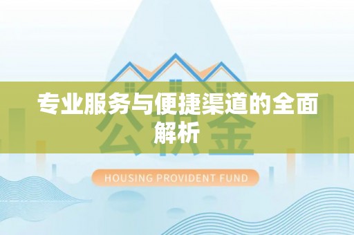 马龙专业服务与便捷渠道的全面解析